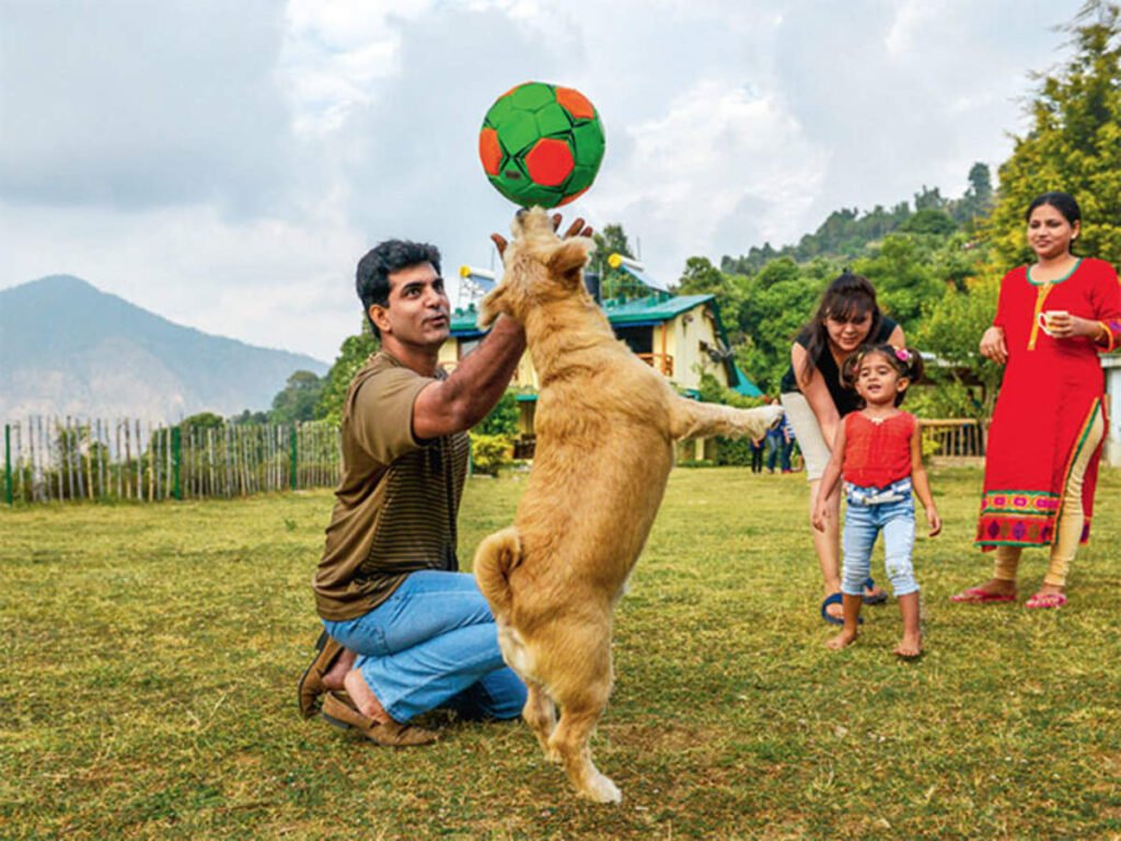 Best Entertainment for Animal Lovers